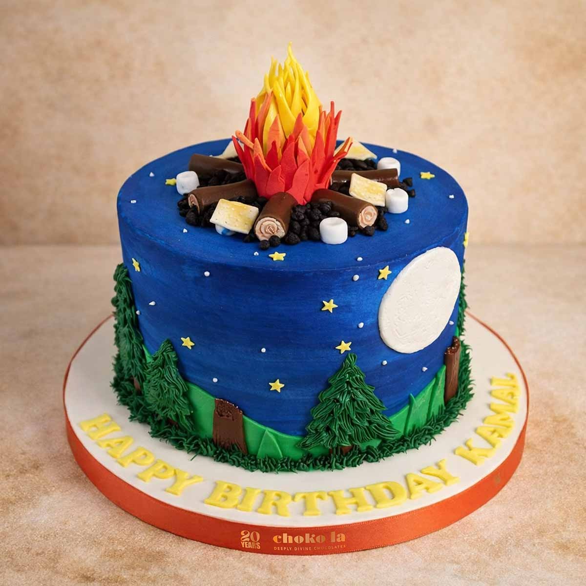 Campfire Theme Designer Cake