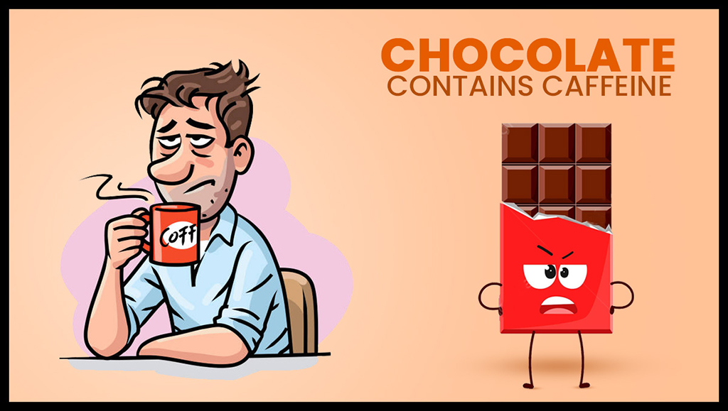 Chocolate contains caffeine