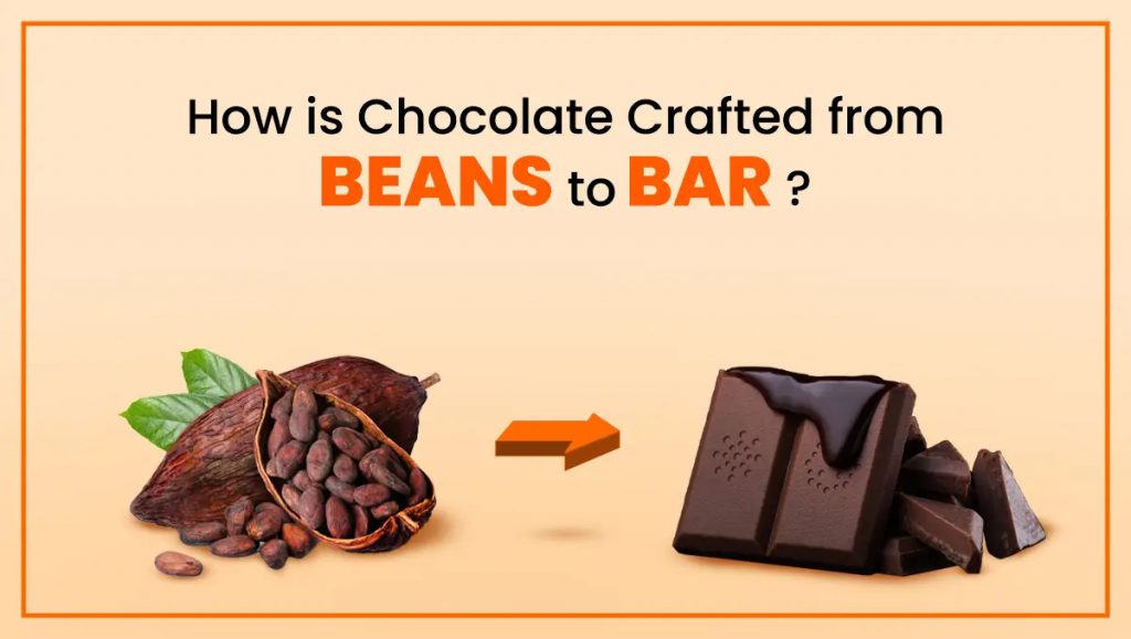 how chocolate is crafted from beans to bar